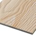 Фиброцементные панели FCSPRO Decor Wood Лиственница купить в Петрове Вале